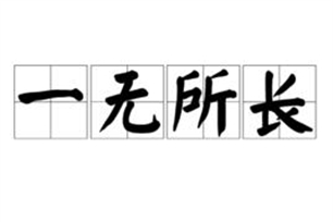 一无所长的意思、造句、反义词