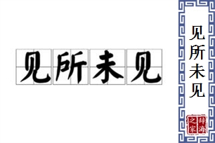 见所未见的意思、造句、近义词