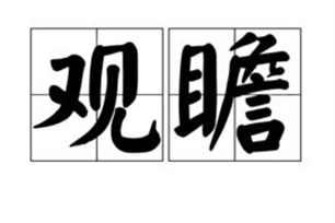 观瞻