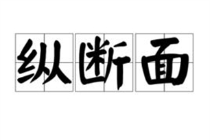 纵断面