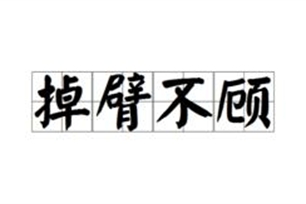 掉臂不顾