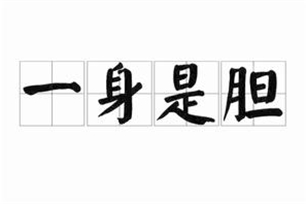 一身是胆的意思、造句、反义词