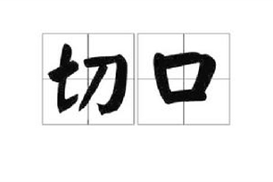 切口的意思、造句、近义词