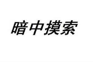 暗中摸索的意思、造句、反义词