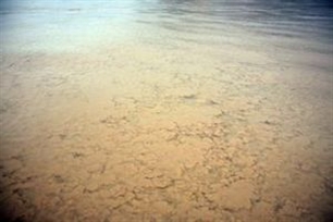 异重流