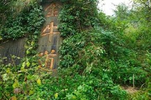 金牛道