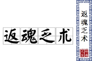 返魂乏术