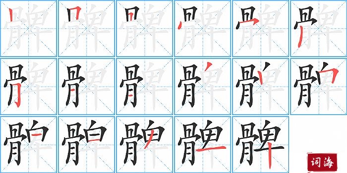 髀字怎么写图解