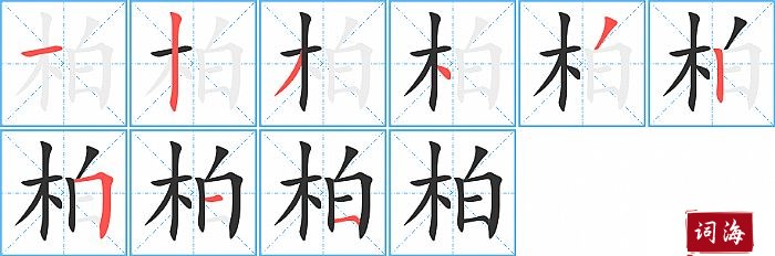 柏字怎么写图解