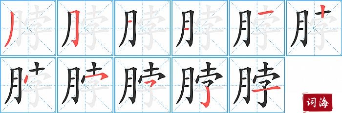 脖字怎么写图解