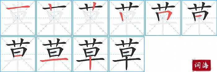 草字怎么写图解