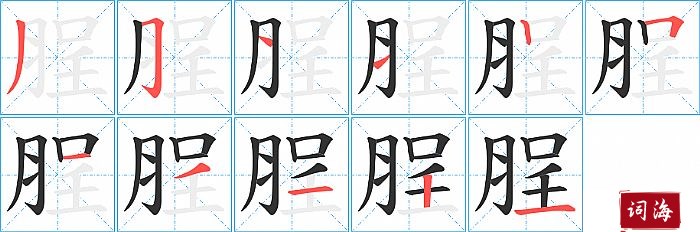 脭字怎么写图解