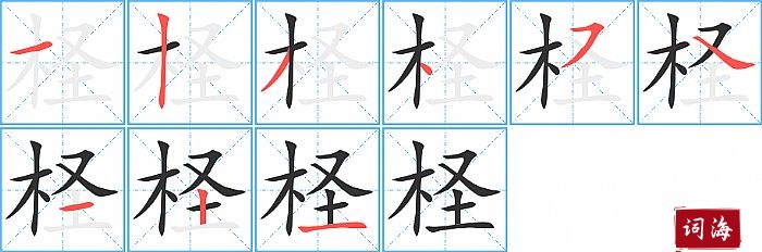 柽字怎么写图解