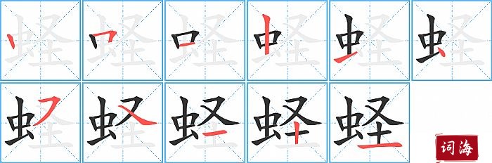 蛏字怎么写图解