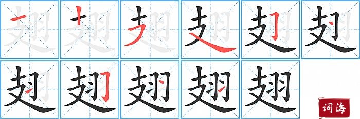 翅字怎么写图解