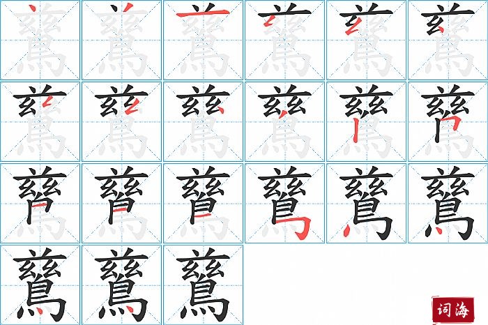 鶿字怎么写图解