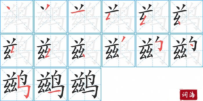 鹚字怎么写图解