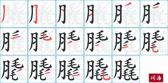 膬字怎么写图解