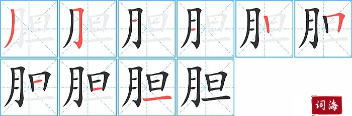 胆字怎么写图解