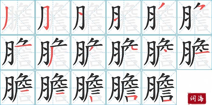 膽字怎么写图解