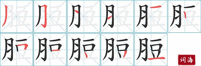 脰字怎么写图解