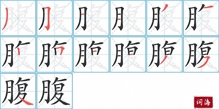 腹字怎么写图解