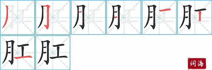 肛字怎么写图解