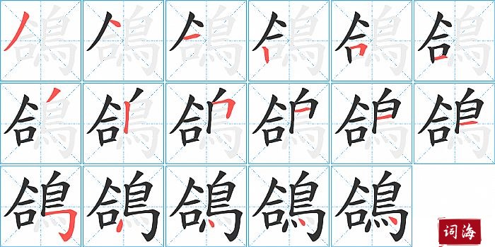 鴿字怎么写图解