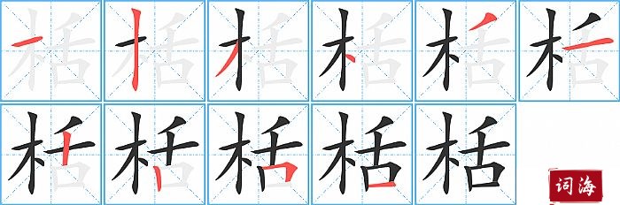 栝字怎么写图解