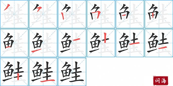 鲑字怎么写图解