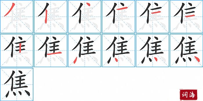 焦字怎么写图解