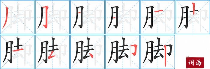 脚字怎么写图解