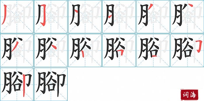 腳字怎么写图解