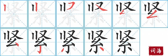 紧字怎么写图解