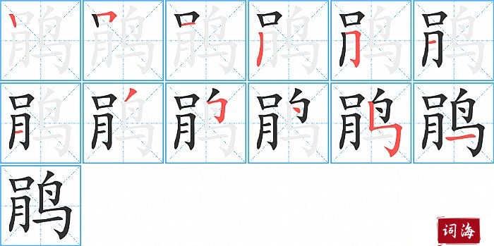 鹃字怎么写图解