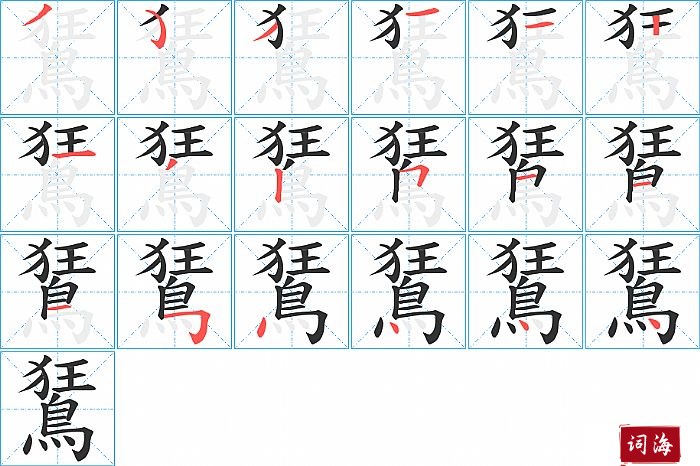 鵟字怎么写图解