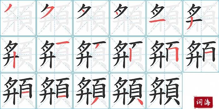 頯字怎么写图解