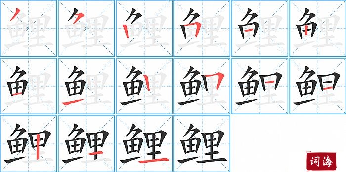 鲤字怎么写图解