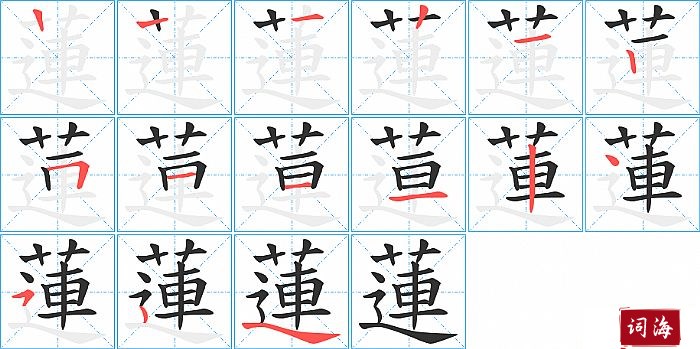 蓮字怎么写图解