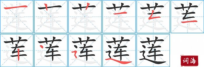 莲字怎么写图解