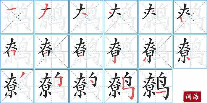 鹩字怎么写图解