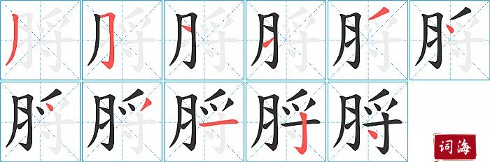 脟字怎么写图解