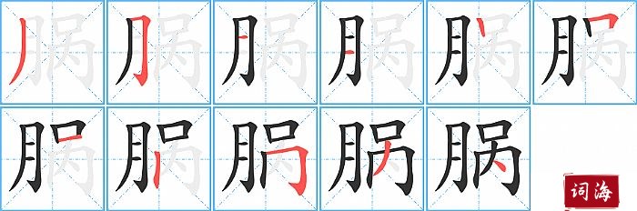 脶字怎么写图解