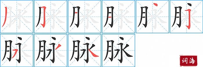 脉字怎么写图解