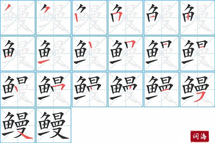 鳗字怎么写图解