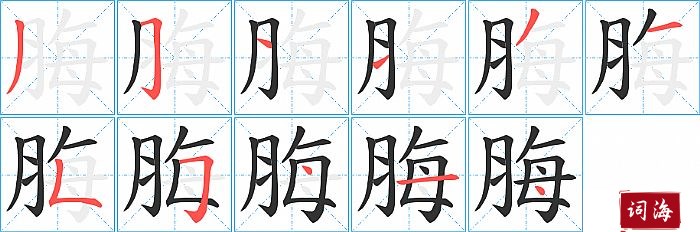 脢字怎么写图解