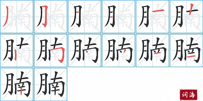 腩字怎么写图解