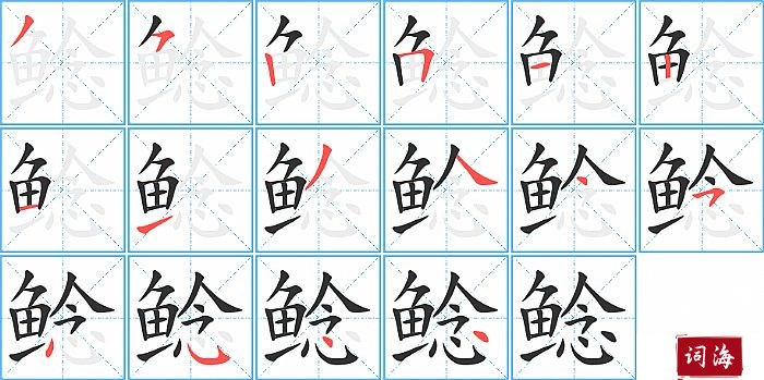 鲶字怎么写图解