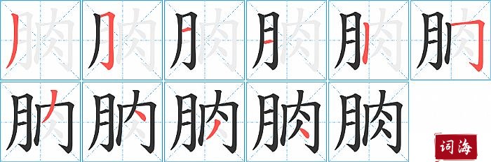 朒字怎么写图解