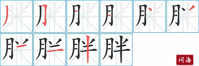 胖字怎么写图解